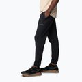 Pantaloni de trekking pentru bărbați Columbia Hike Jogger II black 3