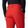 Pantaloni de schi pentru bărbați Columbia Shafer Canyon II sail red 6