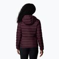 Columbia pentru femei Lake 22 II Down Hooded moonvista jachetă în jos 3