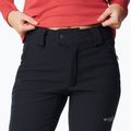 Pantaloni de schi pentru femei Columbia Roffee Ridge VI black 4