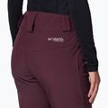 Pantaloni de schi pentru femei Columbia Roffee Ridge VI moonvista 5