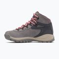 Încălțăminte de trekking pentru femei Columbia Newton Ridge Plus Wp Amped stratus/canyon rose 11