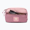 Borsetă Columbia Trail Traveler Hip eraser pink/fig/lemon wash 4