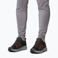 Încălțăminte de drumeție pentru bărbați Columbia Peakfreak Roam black/red quartz 17
