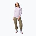 Bluză polar pentru femei Columbia Glacial IV 1/2 Zip lavender pearl 2