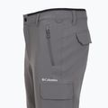 Pantaloni de trekking pentru bărbați Columbia Tech Trail Utility Winter city grey 13