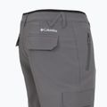 Pantaloni de trekking pentru bărbați Columbia Tech Trail Utility Winter city grey 14