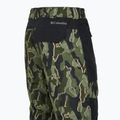 Pantaloni de snowboard pentru bărbați Columbia Coreshot Printed greenscape treebark print/black 14