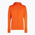 Bluză de trekking pentru bărbați icebreaker Merino 260 Quantum IV Zip Hoodie blaze 12