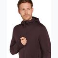 Bluză de trekking pentru bărbați icebreaker Merino 260 Quantum IV Zip Hoodie bittersweet 5