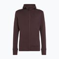 Bluză de trekking pentru bărbați icebreaker Merino 260 Quantum IV Zip Hoodie bittersweet 11