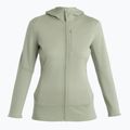 Bluză de trekking pentru femei  icebreaker Merino 260 Quantum IV Zip Hoodie lichen 7