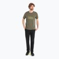 Tricou de trekking Icebreaker Tech Lite II pentru bărbați  verde IB0A56IK0691 2
