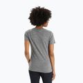 Tricou de trekking pentru femei Icebreaker Tech Lite II gri IB0A56IS0041 2