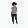 Tricou de trekking pentru femei Icebreaker Tech Lite II gri IB0A56IS0041 3