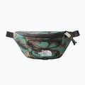 Borsetă The North Face Jester Lumbar colorată NF0A52TMI3A1 7