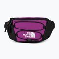 Borsetă The North Face Jester Lumbar mov NF0A52TMYV41