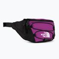 Borsetă The North Face Jester Lumbar mov NF0A52TMYV41 2