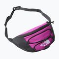 Borsetă The North Face Jester Lumbar mov NF0A52TMYV41 6