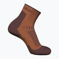Șosete de trekking pentru bărbați Icebreaker Merino Hike+ Light Mini dusty clay/carob 2