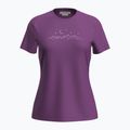 Tricou de trekking pentru femei icebreaker Merino 150 Tech Lite SS Tee Sparkling Stars passion