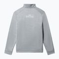 Bărbați The North Face MA 1/4 Zip 1/4 fleece sweatshirt gri deschis NF0A5IESGAU1 10
