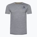 Bărbați Smartwool Wilderness Summit Graphic Tee tricou de trekking tricou gri deschis 16673 4