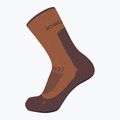 Șosete de trekking pentru femei icebreaker Merino Hike+ Light Crew dusty clay/carob 3