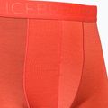 Boxeri termici pentru bărbați Anatomica Cool-Lite icebreaker roșu 105223 3