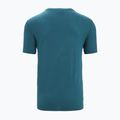 Tricou termic pentru bărbați icebreaker Tech Lite II Cadence Paths verde IB0A56N87281 7