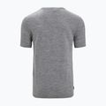 Tricou termic pentru bărbați Icebreaker Tech Lite II Nature Sprint gri IB0A56NB0041 7