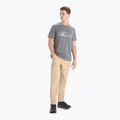 Tricou termic pentru bărbați Icebreaker Tech Lite II Nature Sprint gri IB0A56NB0041 2