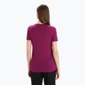 Icebreaker Tech Lite II SS tricou de trekking pentru femei purpuriu 3