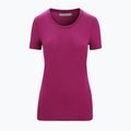 Icebreaker Tech Lite II SS tricou de trekking pentru femei purpuriu 6