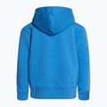 Pulover de trekking pentru copii The North Face Drew Peak P/O Hoodie albastru NF0A82ENLV61 2