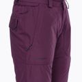 Pantaloni de snowboard pentru femei Volcom Knox Ins Gore-Tex blackberry 10