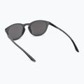 Ochelari de soare Nike Evolution gri închis mat/strălucitoare argintie mată 2