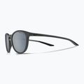 Ochelari de soare Nike Evolution gri închis mat/strălucitoare argintie mată 5