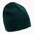 The North Face Bones Recycled verde de iarnă NF0A3FNSD7V1