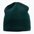 The North Face Bones Recycled verde de iarnă NF0A3FNSD7V1 2