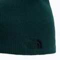 The North Face Bones Recycled verde de iarnă NF0A3FNSD7V1 3
