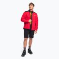 Bărbați The North Face Alpine Polartec 200 FZ sweatshirt roșu NF0A7WWWLKZ31 2