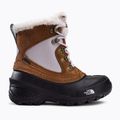 Cizme de trekking pentru copii The North Face Shellista Extreme maro NF0A2T5V9ZW1 2