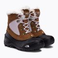Cizme de trekking pentru copii The North Face Shellista Extreme maro NF0A2T5V9ZW1 4