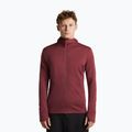 Bluză pentru bărbați Icebreaker Merino 260 Quantum IV LS Zip Hoodie port/agate