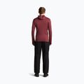 Bluză pentru bărbați Icebreaker Merino 260 Quantum IV LS Zip Hoodie port/agate 5