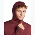 Bluză pentru bărbați Icebreaker Merino 260 Quantum IV LS Zip Hoodie port/agate 6
