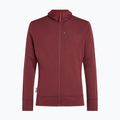 Bluză pentru bărbați Icebreaker Merino 260 Quantum IV LS Zip Hoodie port/agate 10