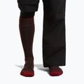 Șosete de schi pentru bărbați icebreaker Merino Ski+ Medium OTC bittersweet/port/black 3