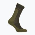 Șosete pentru bărbați Icebreaker Merino Hike+ Medium Crew dark loden/sphagnum 2